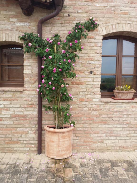 Agriturismo San Pierino Monteroni d'Arbia Ngoại thất bức ảnh